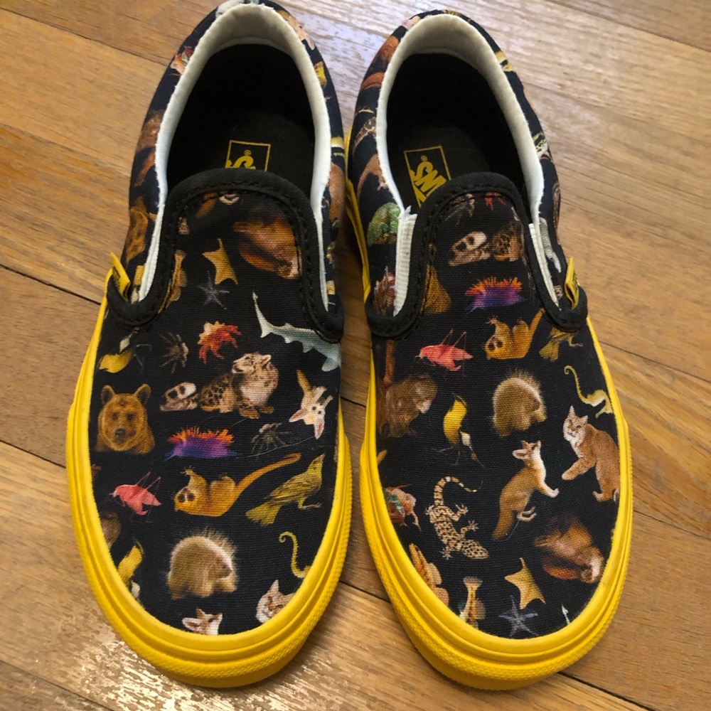 Vans x National Geographic Collab slip-ons